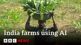 Artificial intelligence comes to farming in India  BBC News [upl. by Flaherty675]