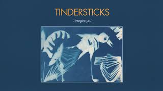 Tindersticks  Distractions Full Album Stream [upl. by Anrym133]