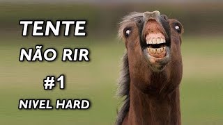 Tente Não Rir Nível Hard 1 [upl. by Nivrehs]