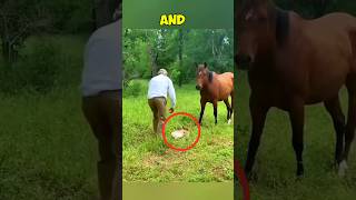 These Men Deserve Millions 😱😱 shorts animals horse [upl. by Atikim7]