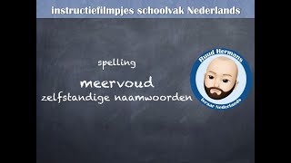 Spelling meervoud zelfstandige naamwoorden [upl. by Muhcon]