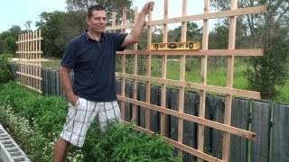 Building a Trellis for our raised bed [upl. by Irvin]