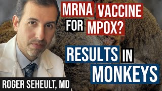 Mpox New mRNA Vaccine Versus Traditional Live Virus in Animal Series [upl. by Lilybel]