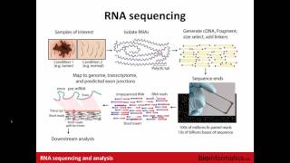 Introduction to RNA Sequencing [upl. by Venator]