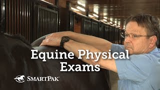 Equine Physical Exams [upl. by Esertal]