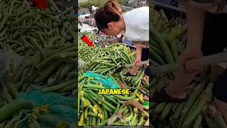 Why Japanese Farmers Throw Out Green Veggies 😳 [upl. by Cummins164]