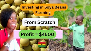 how to start soya beans farming business with 172 in Ghana from scratch start soya beans farm [upl. by Lapointe775]