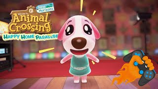 The Ultimate Pop Star Café  Cookie  Animal Crossing Happy Home Paradise [upl. by Rice]