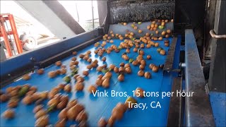 2015 Walnut Hulling Line Sorters [upl. by Mirielle]