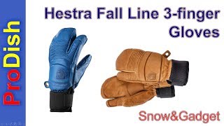 Hestra Fall Line 3finger Gloves [upl. by Stace]