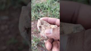 stone nature youtubeshorts [upl. by Carlos]