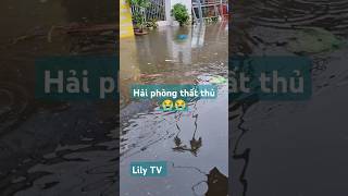 vietnam food travel typhoon haiphong climatechange food shorts [upl. by Christenson]