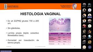 37 VULVOVAGINITIS  EPI  Dr Molocho [upl. by Daley]