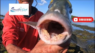 Sea Fishing UK  Gilthead Bream fishing how to  with special guest Martin “Larks” Larking [upl. by Cedar]