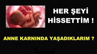 ANNE KARNINDA HER ŞEYİ HİSSETTİM Anne bebek arasındaki bağ Paranormal Hayatım 1 [upl. by Oralie]