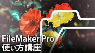 FileMaker Pro 使い方講座ファイルメーカープロ13 基礎講座 第1章「新規データベースの作成」 【動学tv】 [upl. by Adnerb]