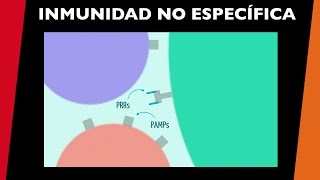 Inmunidad no especifica  visita mi Podcast y aprende Medicina mientras descansas [upl. by Kellyann]