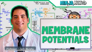 Neurology  Resting Membrane Graded Action Potentials [upl. by Nielson]