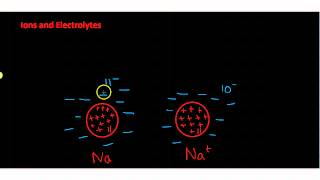 Ions and Electrolytes [upl. by Peregrine484]