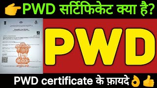 PWD Certificate kya hota hai  PWD categary kya hai  PWD kya hai  Pwd Candidats kya hota hai [upl. by Pandora]