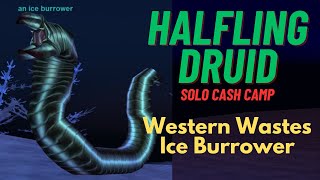 Halfling Druid Cash Camp  Western Wastes  Ice Burrower  Project 1999  EverQuest  Green Server [upl. by Anemix]