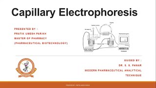 Capillary Electrophoresis [upl. by Iur96]