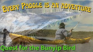 Every paddle is an adventure  Quest for the endangered Australasian Bittern [upl. by Chery]