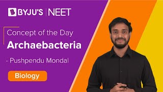 Archaebacteria  Biology  NEET  Concept of the day  Pushpendu Sir [upl. by Arotak]