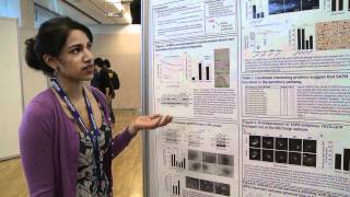 Research on display  poster sessions at The EMBO Meeting [upl. by Adelind]