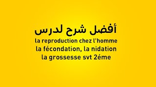 la reproduction chez lhomme la fécondation la nidation la grossesse [upl. by Atinnod]