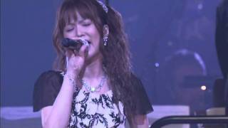 GARNET CROW  Symphonic Concert 2010～All Lovers～  空に花火 [upl. by Atinoj]