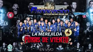 Banda Renovacion  La Merejilda En Vivo 2016 [upl. by Martita943]