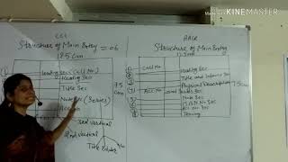 Class  2  Structure of Main Entry CCC and AACR 2  Teaching by Reena Anand  Anil Gehlot [upl. by Wilek]