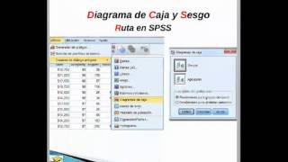 Diagrama de Caja y Sesgo  SPSS  20  05  2014  Parte 3 [upl. by Nirrej]