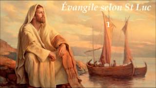 BIBLE Audio Évangile selon Saint Luc ✥ Le Nouveau Testament lu [upl. by Eelaroc]