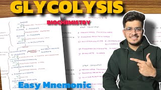 Glycolysis Biochemistry  Carbohydrate Metabolism Biochemistry  Glycolysis Pathway [upl. by Neesay]