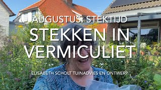 STEKKEN IN VERMICULIET [upl. by Lledal]