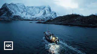 Lofoten Norway  Winter Relaxing Film 4K [upl. by Enyrehtak137]