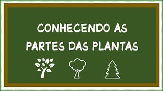 Conhecendo as partes das plantas e suas funções [upl. by Aisetra]