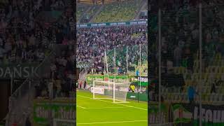 Bójka na meczu Lechia Gdańsk Akademija Pandev shorts [upl. by Anastasie329]