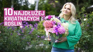 10 najdłużej kwitnących roślin w ogrodzie [upl. by Anastice]