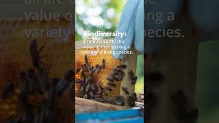 Biodiversity Matters  Chapter 1  Caring for our Planet [upl. by Rehtul288]