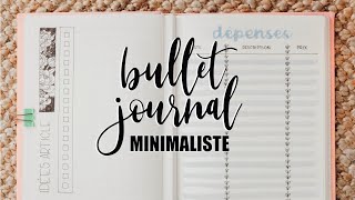 MON BULLET JOURNAL 2019 • Simple amp minimaliste [upl. by Deth]