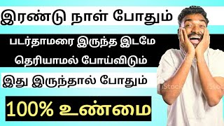 Padarthamarai TREATMENT in TAMIL  Padarthamarai Marundhu in TAMIL  RINGWORM [upl. by Pallas814]