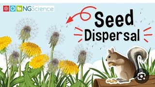 seed dispersal ساينس خامسه ابتدائي الدرس الخامس الوحده الأولي المفهوم الأول [upl. by Nolaf]