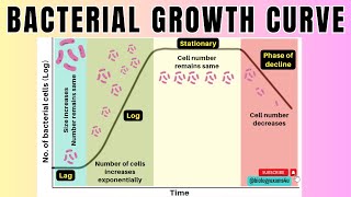 Bacterial Growth Curve in 2 minutes4 Phases of Microbial Growth Curve🦠 Microbiologybiologyexams4u [upl. by Zebulen]