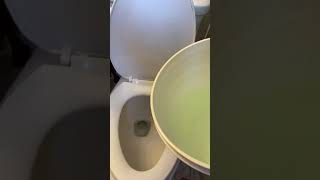 How to flush a toilet with no power no running water shorts [upl. by Anastasius]