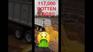 117000 Rotten Eggs 🤮 gross [upl. by Clair]