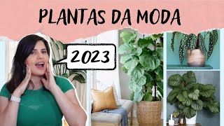 7 PLANTAS DA MODA PARA DECORAR EM 2023  VIROU FEBRE NAS REDES SOCIAIS [upl. by Jurdi475]