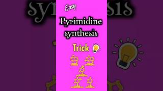 Easy Pyrimidine synthesis trick biochemistry medicalmnemonics biologytricks shortsfeed [upl. by Ahsata794]